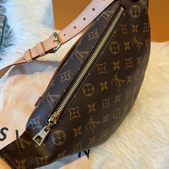 Louis Vuitton Monogram Bumbag - Picture 5 of 10